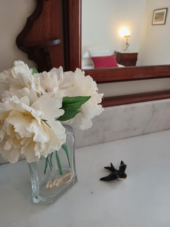 Apartamento Vista Premium Sto Antonio 상 마르티뇨 두 포르투 외부 사진
